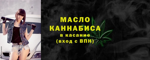 молекула духа Кулебаки