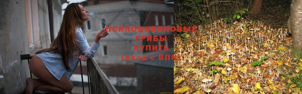 молекула духа Кулебаки