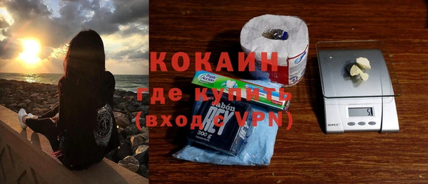 молекула духа Кулебаки