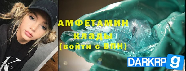 молекула духа Кулебаки